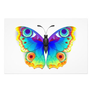 Foto Arcoiris mariposa Peacock Eye
