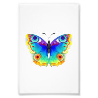 Arcoiris mariposa Peacock Eye