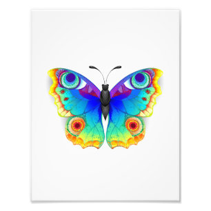 Foto Arcoiris mariposa Peacock Eye