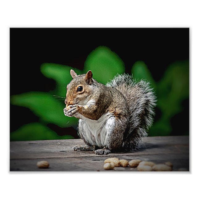 Foto Ardilla con cacahuetes (Frente)