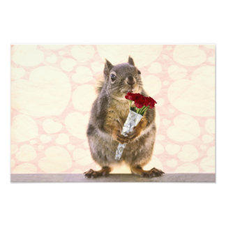 Foto ardilla con ramo de rosas rojas