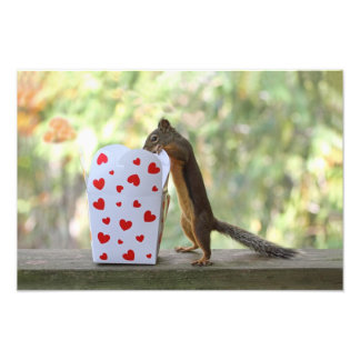 Foto Ardilla mirando dentro de la caja del corazón