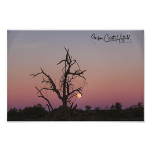 Foto Arizona Moon