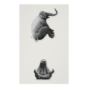 Foto Armonía entre elefante y perezoso meditando