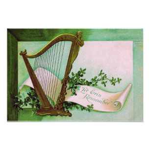 Foto Arpa de Erin Shamrock Verde