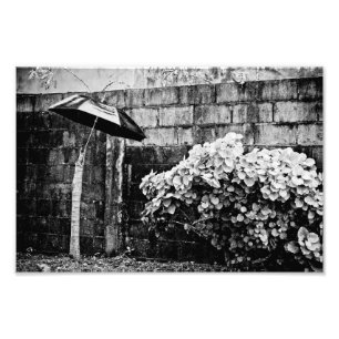 Foto arriba contra la lluvia