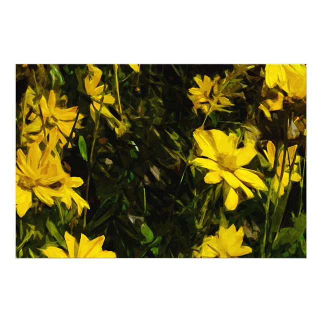 Foto Arrowleaf Balsamroot Flor silvestre amarillo Resum (Frente)