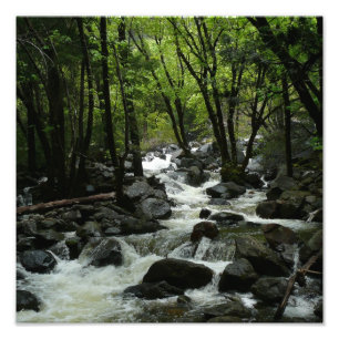 Foto Arroyo Bridalveil en el Parque Nacional Yosemite