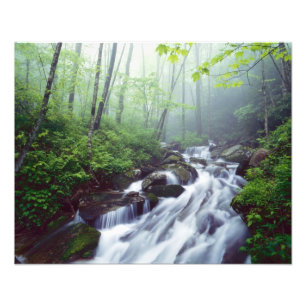 Foto Arroyo Linn Cove en cascada a través de la niebla