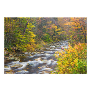 Foto Arroyo Rugiente en otoño en el Verde de Vermont