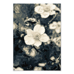 Foto Arte Botánico de Flor de Anémona Malhumorada