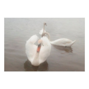 Foto Arte de acuarelas modernas elegantes cisnes en el 