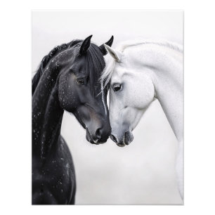 Foto Arte de caballos de Stallion en blanco y negro
