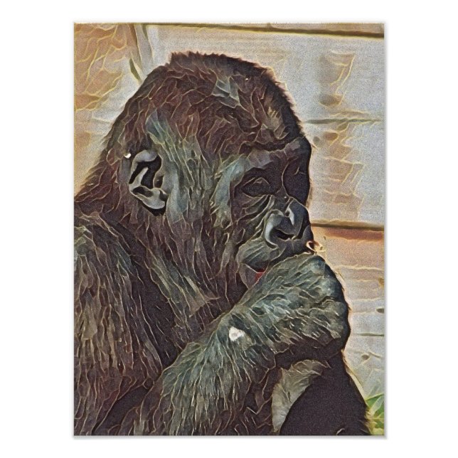 FOTO ARTE DE CHIMPANCÉ (Frente)