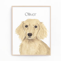 Arte de Dachshund, Crema Haitiana Larga