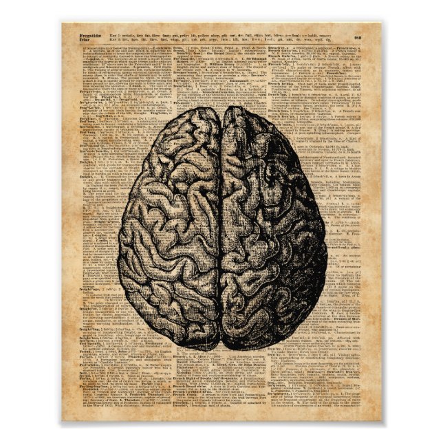 Foto Arte de diccionario de Ilustracion de cerebro huma (Frente)