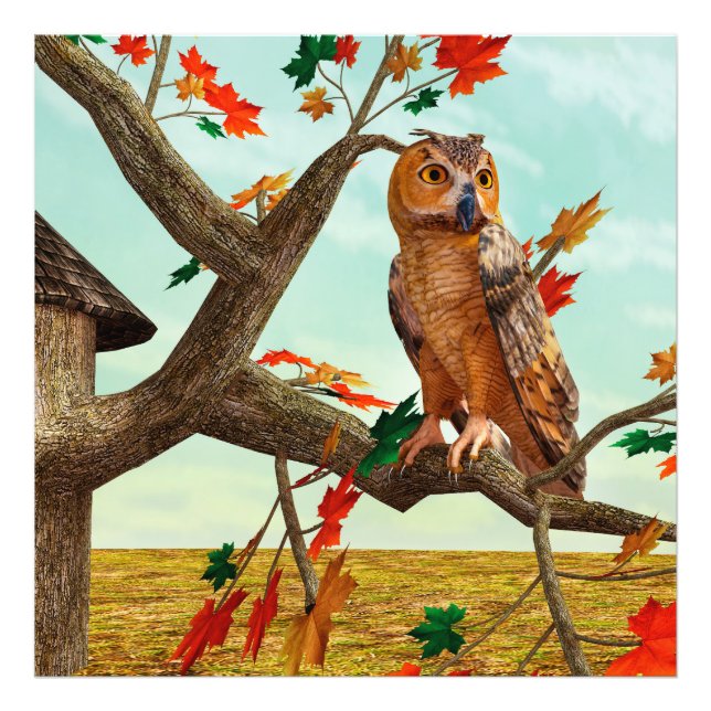 Foto Arte de fauna del arce de búho de otoño (Frente)