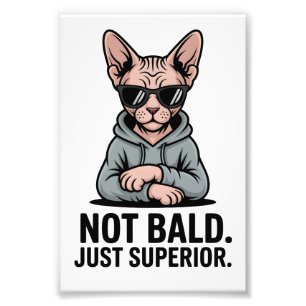 Foto Arte de gato Sphynx superior con actitud sarcástic