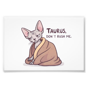 Foto Arte de la actitud zodiacal de Tauro Gato Sphynx T