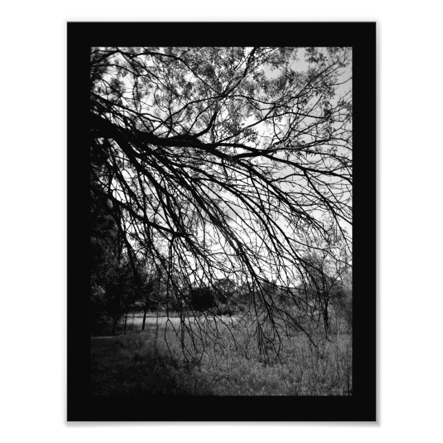 Foto Arte de la Naturaleza (Frente)
