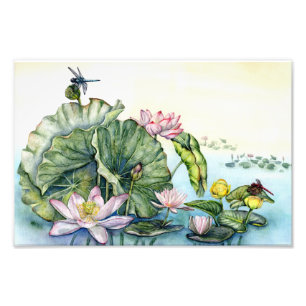 Foto Arte de Lotus Lilies de Japón