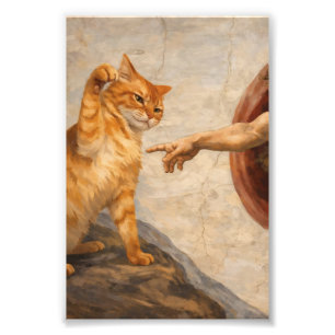 Foto Arte de meme de gato divertido Creación de Adán co