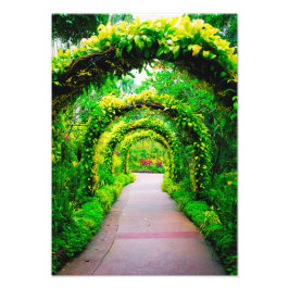 Foto Arte de pared de arco de jardín