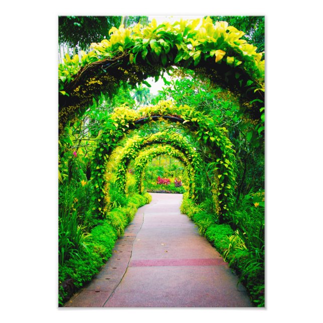 Foto Arte de pared de arco de jardín (Frente)