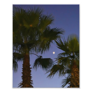 Foto Arte de pared de palma tropical Crepúsculo costero