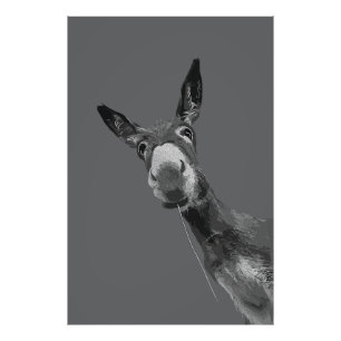 Foto Arte de retrato en escala de grises de burro diver