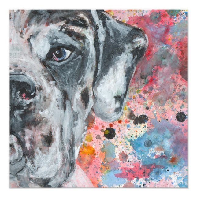 Foto arte del Gran Danés (Frente)