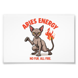 Foto Arte del Zodíaco de Energía de Fuego del Gato Sphy