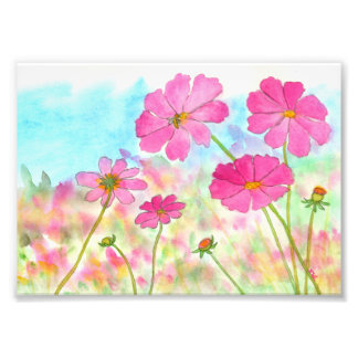 Foto Arte floral abstracto cosmos rosa flores silvestre