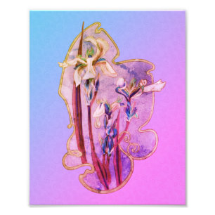 Foto Arte floral de irisis azules con problemas 8x10