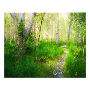 Foto Arte mural de Aspen en Convict Lake Sierra Orien