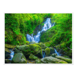 Foto Arte mural de la cascada de Torc | Parque Killarne