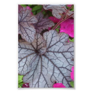 Foto Arte natural