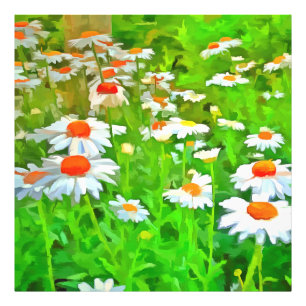 Foto Artistic Bright and Colorful Pop Art Daisies v1 z.