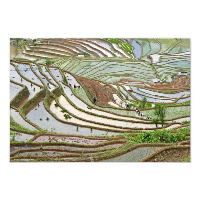 Foto Asia, China, Yunnan, Jinping. Pueblos nativos de Y (Frente)