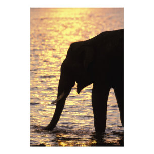 Foto Asia, India, Parque Nacional Nargahole. indio