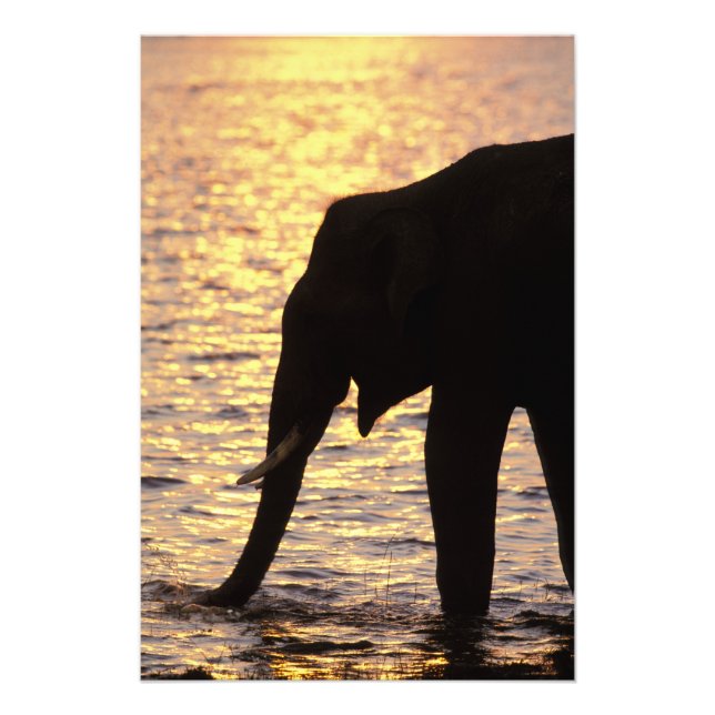 Foto Asia, India, Parque Nacional Nargahole. indio (Frente)