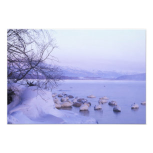 Foto Asia, Japón, Hokkaido, Akan NP, Cisnes Gigantes