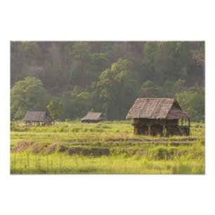 Foto Asia, Tailandia, Mae Hong Son, Cabañas de arroz en