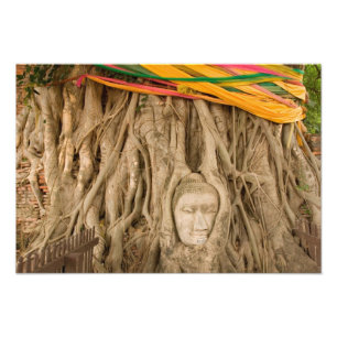 Foto Asia, Tailandia, Siam, Buda en surcos de árbol en