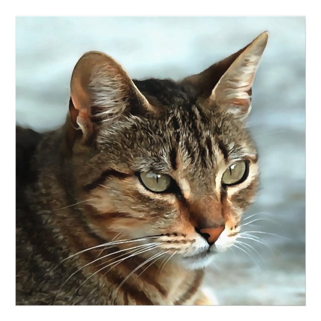 Foto Asombroso retrato artístico del gato de Tabby (Frente)