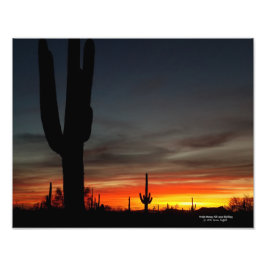 Foto Atardecer del desierto de Sonoran Arizona con cact
