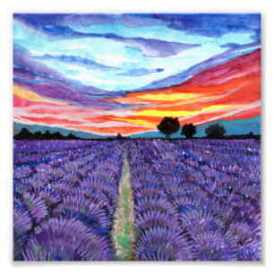 Foto Atardecer en el campo de lavanda