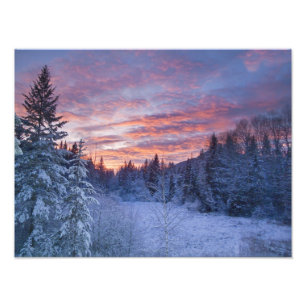 Foto Atardecer vívido pinta el cielo sobre invernal
