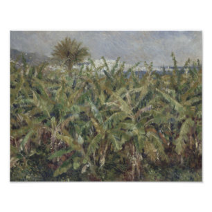Foto Auguste Renoir - Campo de árboles bananeros