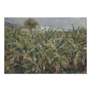 Foto Auguste Renoir - Campo de árboles bananeros